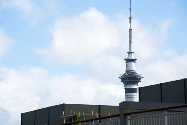 3a/15 Augustus Terrace Parnell_15