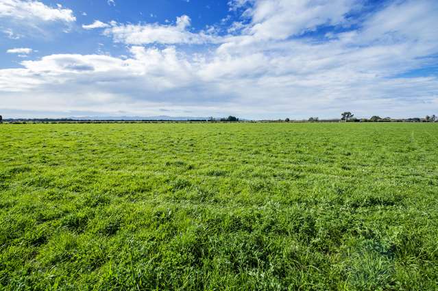 Lower Lake Road Leeston_1