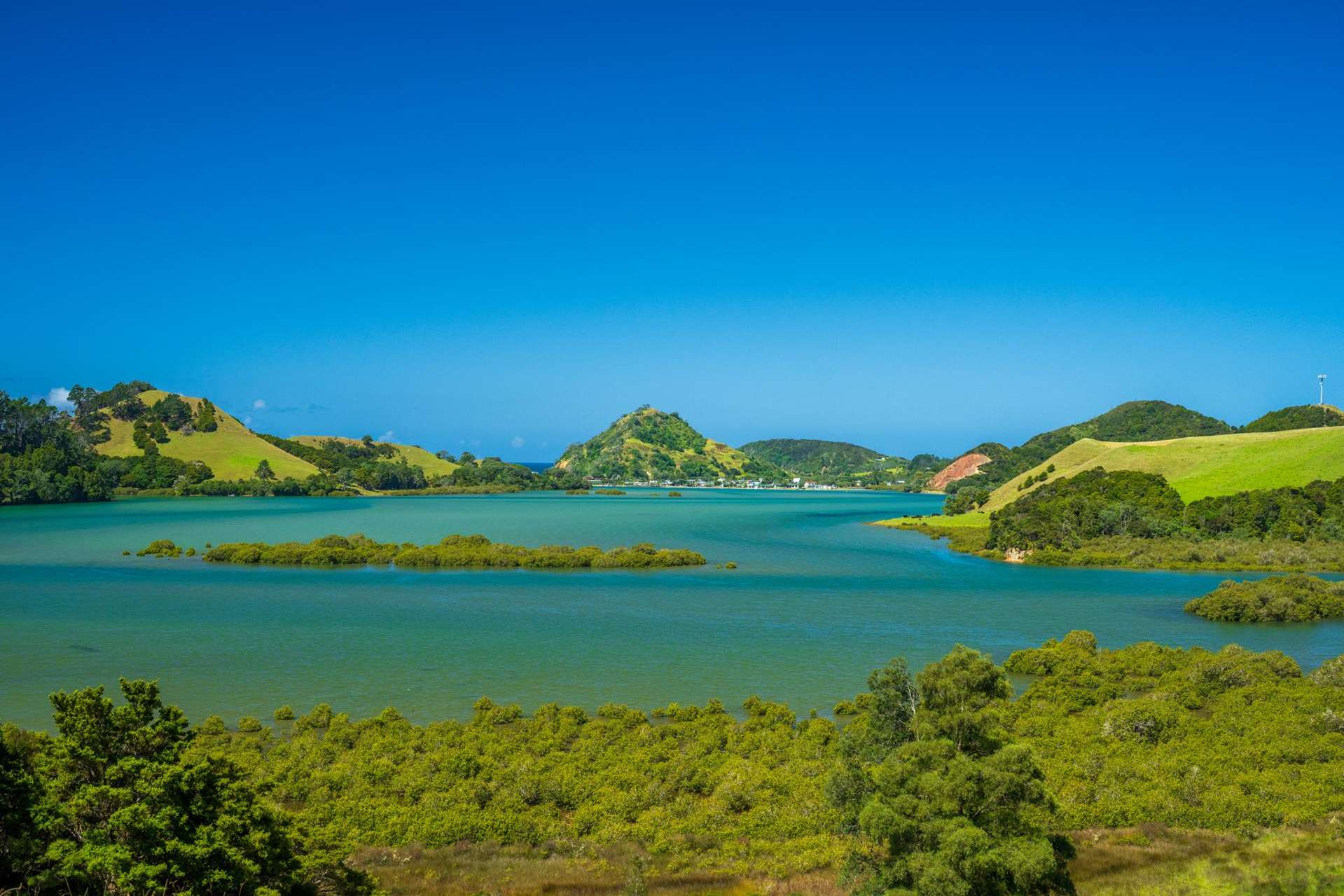 Telfer Road Parua Bay_0