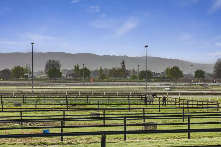 7519 State Highway 27 Matamata_8