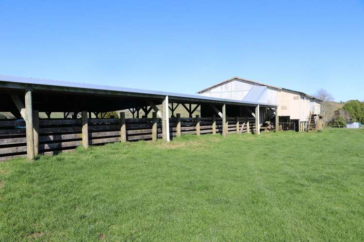 259 Elgood Road Ngaruawahia_23