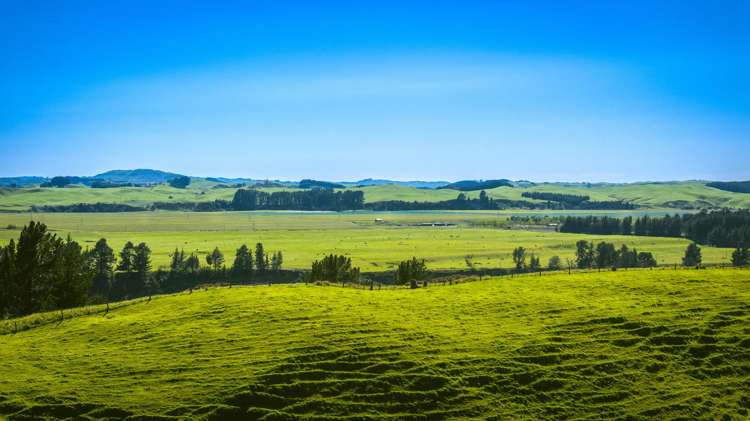 Aorangi Road (Lot 2) Maraekakaho_16