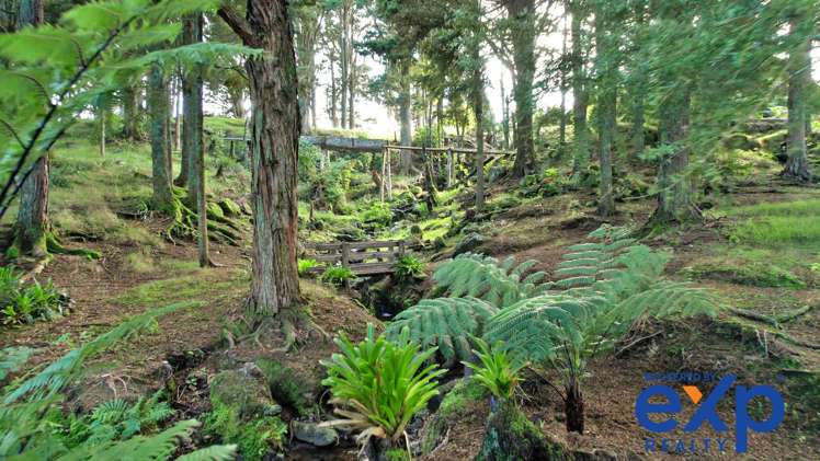 Amsharlo Drive Kerikeri_13