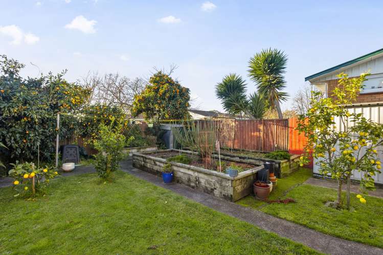 73 Ascot Road Chartwell_20