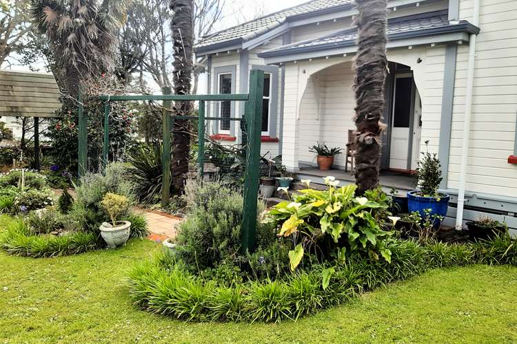 263 Carrington Street Vogeltown_19