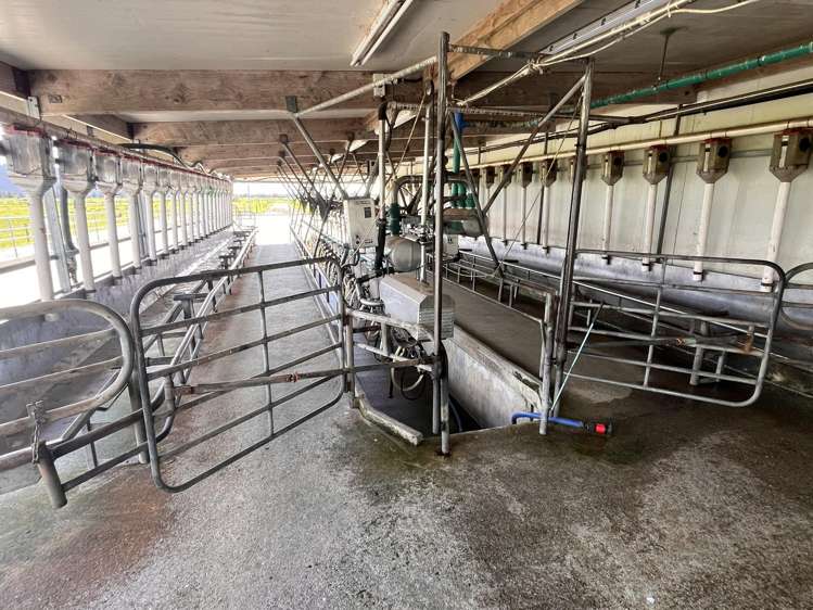 117 Burrough Road Whataroa_8