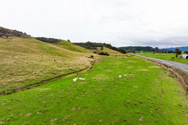 State Highway 12 Mamaranui_4