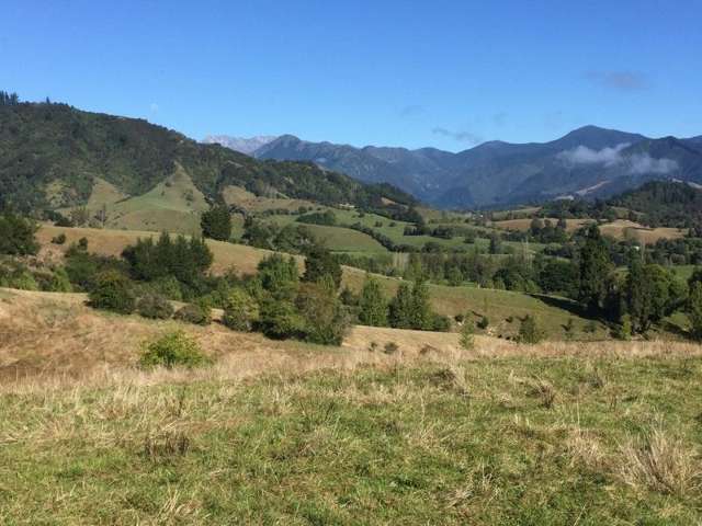 35 Thorpe-Orinoco Road Ngatimoti_2