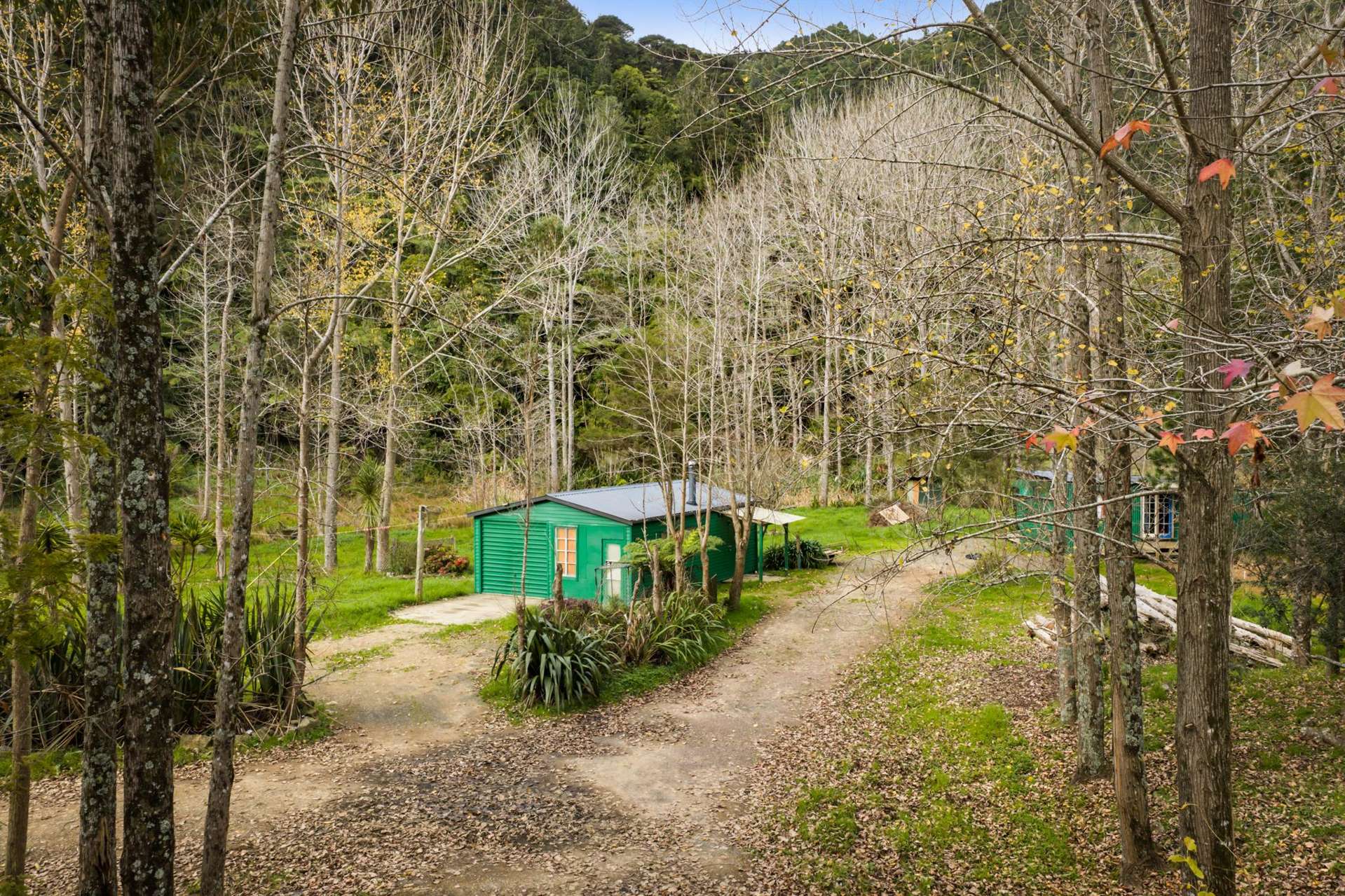 528 Kopu Hikuai SH25A Thames-coromandel_0