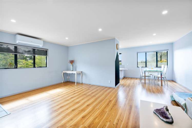 61 Palomino Drive Henderson_16