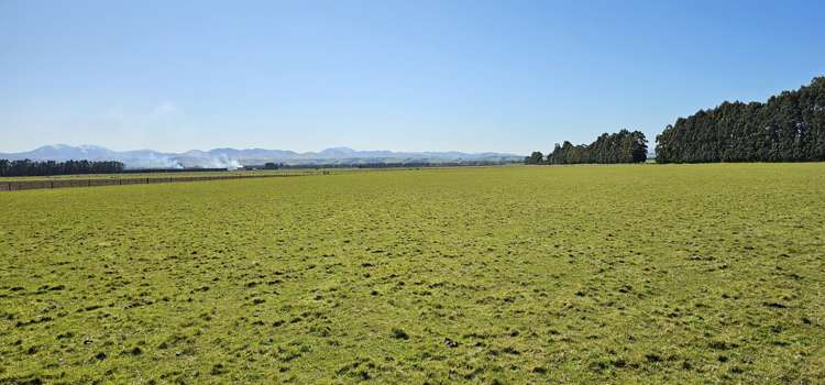 621 Josephville Glenure Road Winton Surrounds_13