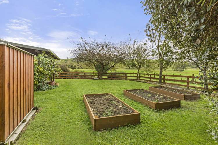 853 Tahuroa Road Morrinsville_31