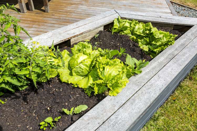 20 Blue Mountains Road Silverstream_22