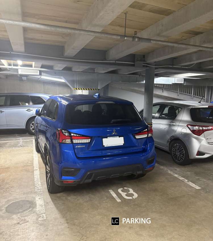 8F/245 Wakefield Street_5