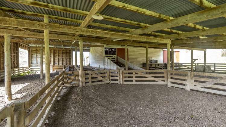 16451 Route 52 Masterton_14