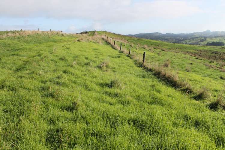 1311 State Highway 12 Maungaturoto_11