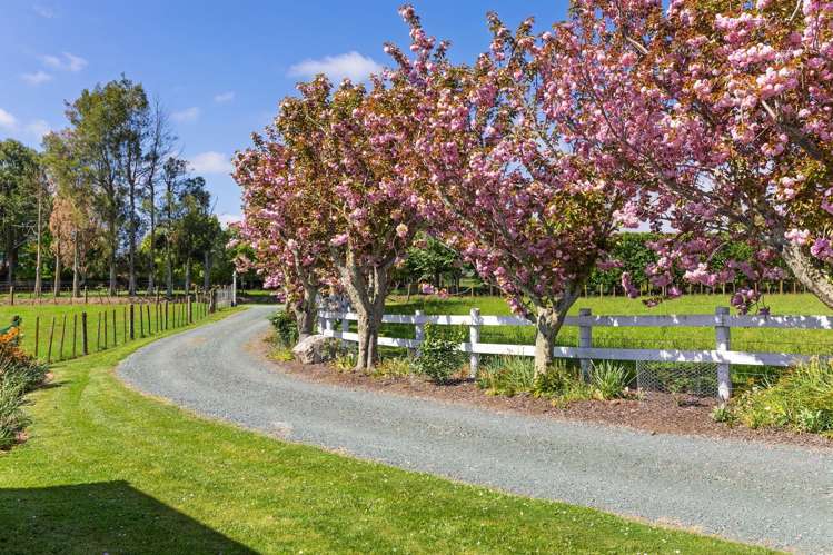 45 Bryant Road Brightwater_18