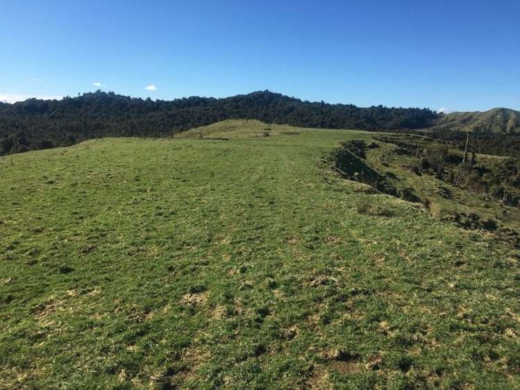 1427 Waitaanga Road Ohura_5