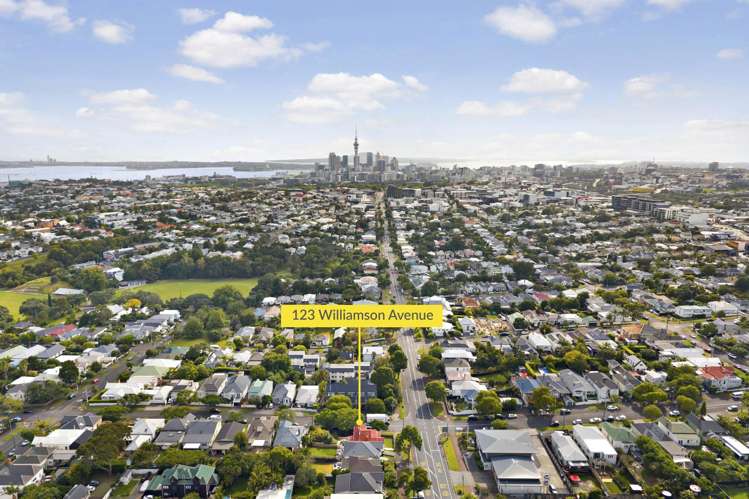 123 Williamson Avenue Grey Lynn_18