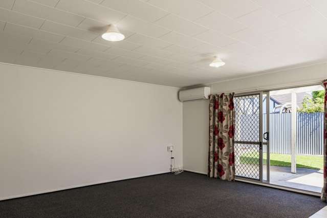 8 Winchester Place Tamatea_4