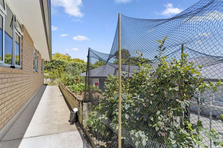 23 Dayna Avenue Ohauiti_13