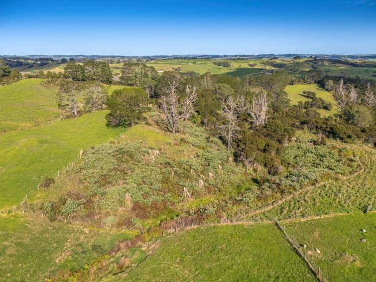 132B Gatfield Road Kaukapakapa_21