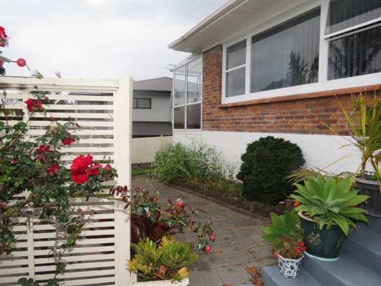 72 Elliot Street Pahurehure_18