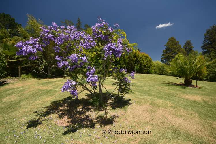 27 Hook Road Paparoa_33