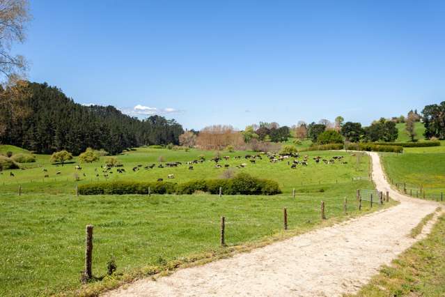 First farm or grazing block, its your call