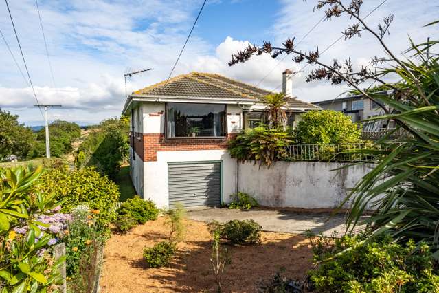 164 Mornington Road Kenmure_1