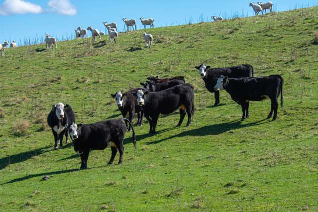 370 Gore Bay Road Gore Bay_4