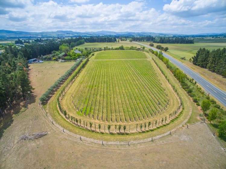 6 Anzac Street Waipara_10