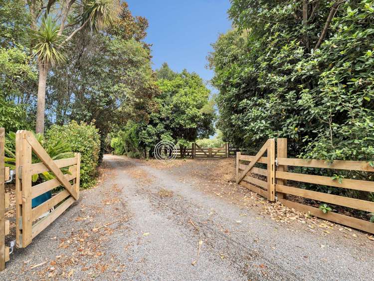 48A Simpson Road Westmere_31