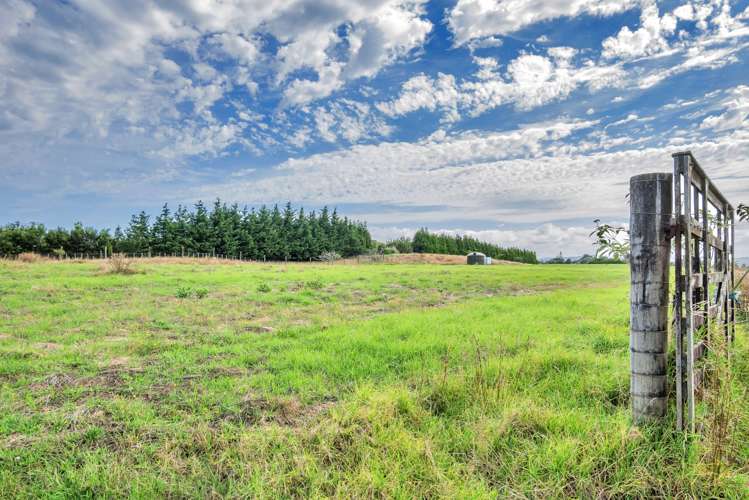 91 Shelly Beach Road Shelly Beach_7