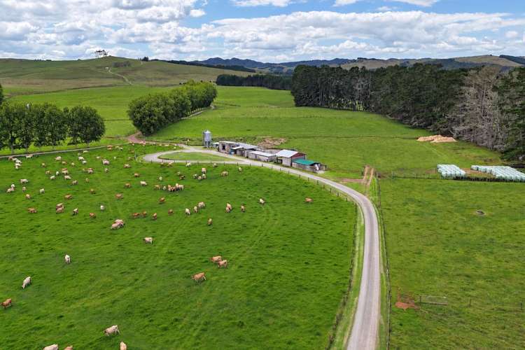 374 Rakauwahia Road Kaikohe_16