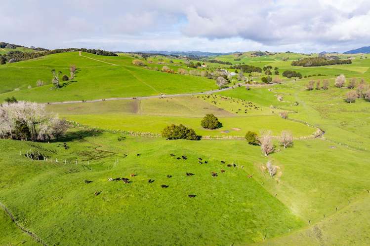 248 Ormandy Road Maungakaramea_8