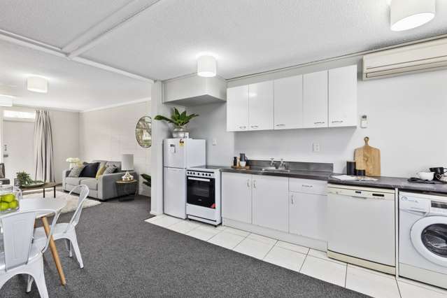 11f Britannia Street Petone_2