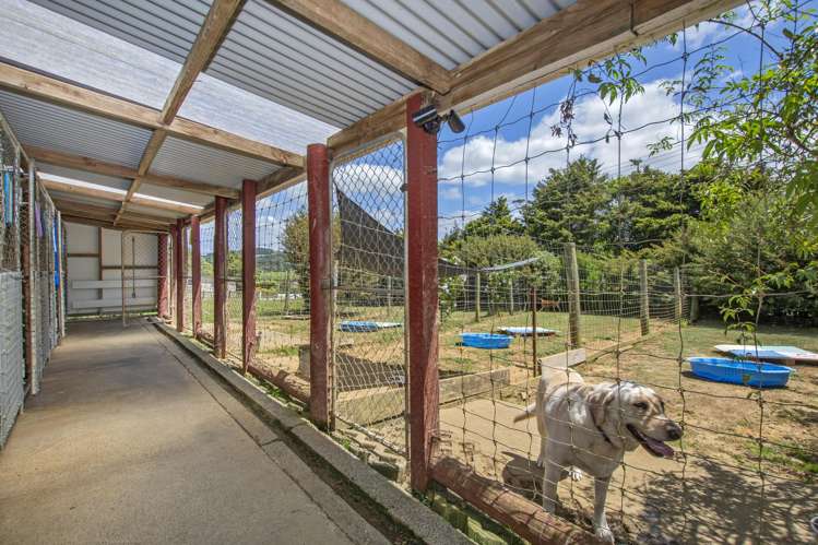 770 State Highway 1 Kauri_4