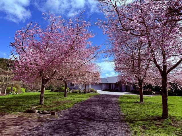 85a Castles Road Oropi_3