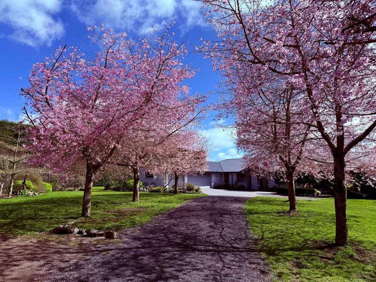 85a Castles Road Oropi_3