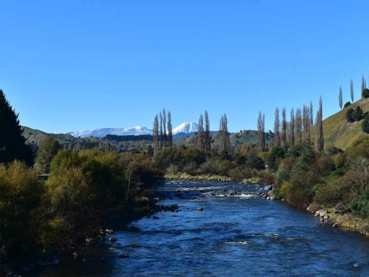 221 Miro Street Manunui_9