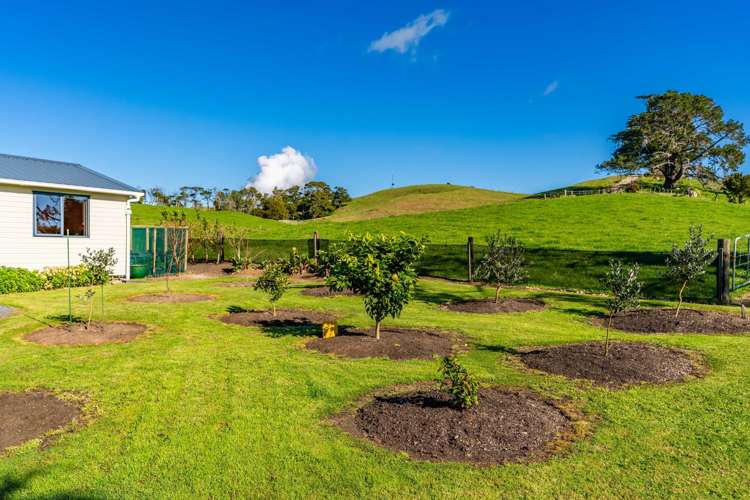 264 Bee Bush Road Dargaville_18
