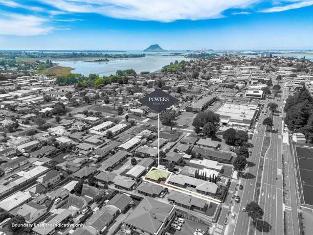 723C Cameron Road Tauranga South_2