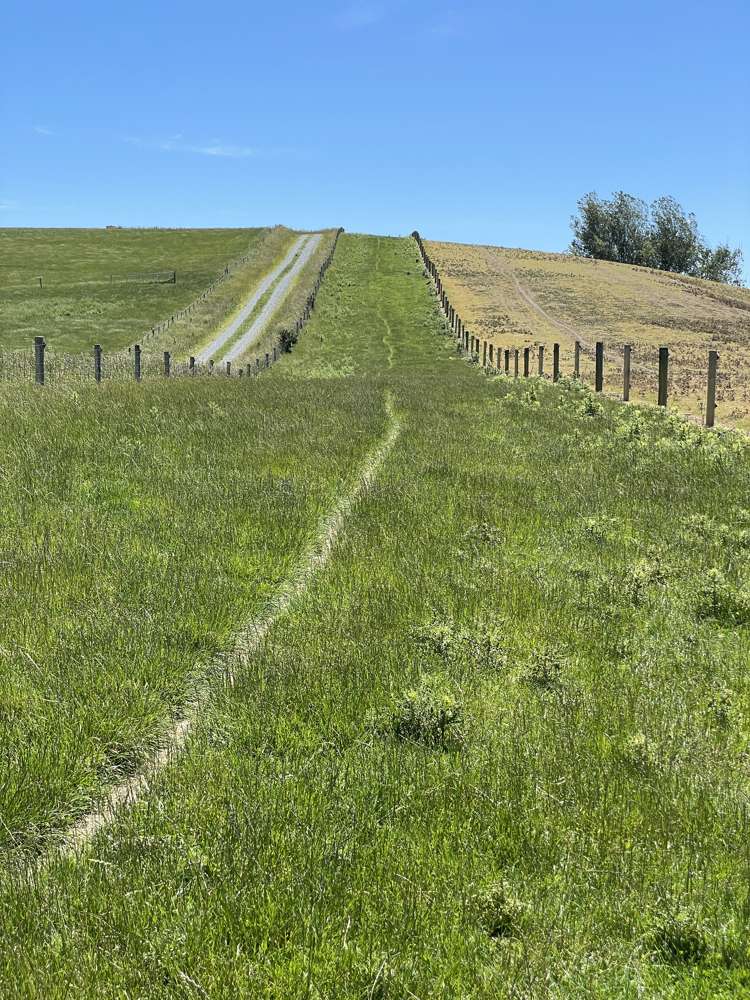 575 Tuapeka Flat Road Lawrence_17