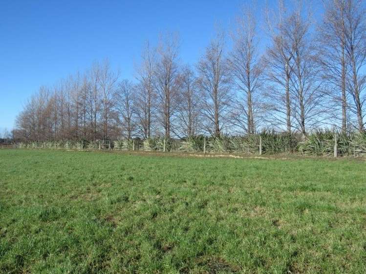 1248 Peel Forest Road Mesopotamia_8