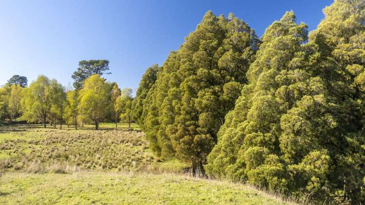 72 Te Hau Road Masterton_13