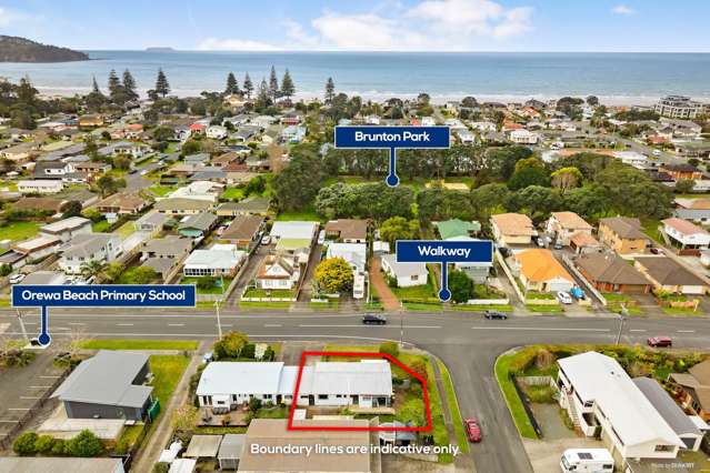 2a Nukumea Common Orewa_3