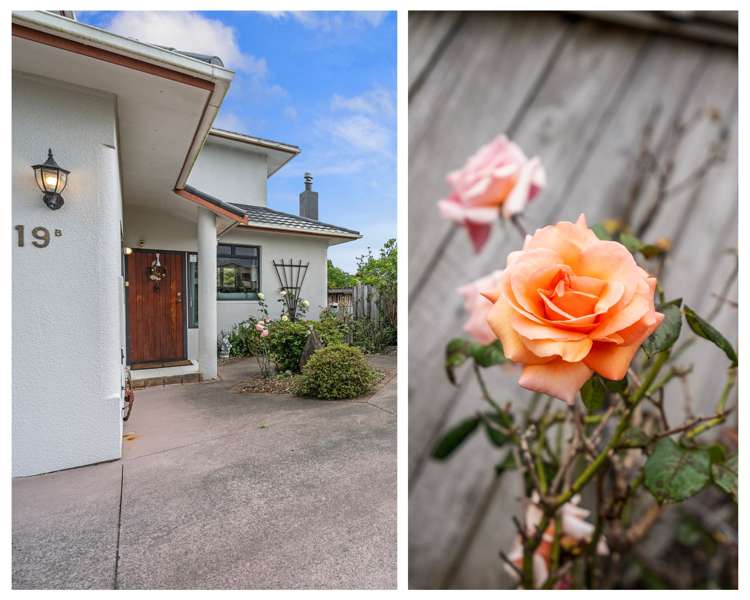 19b Brinkley Road Otumoetai_18