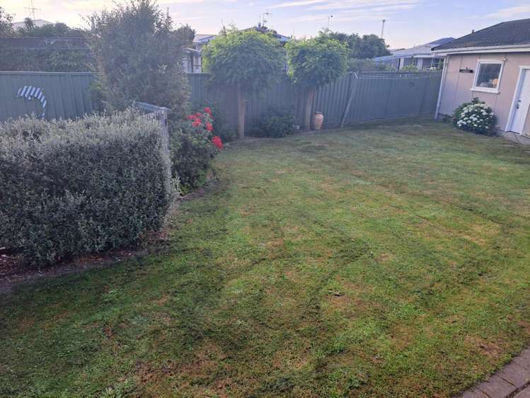 509 Frederick Street Mahora_15