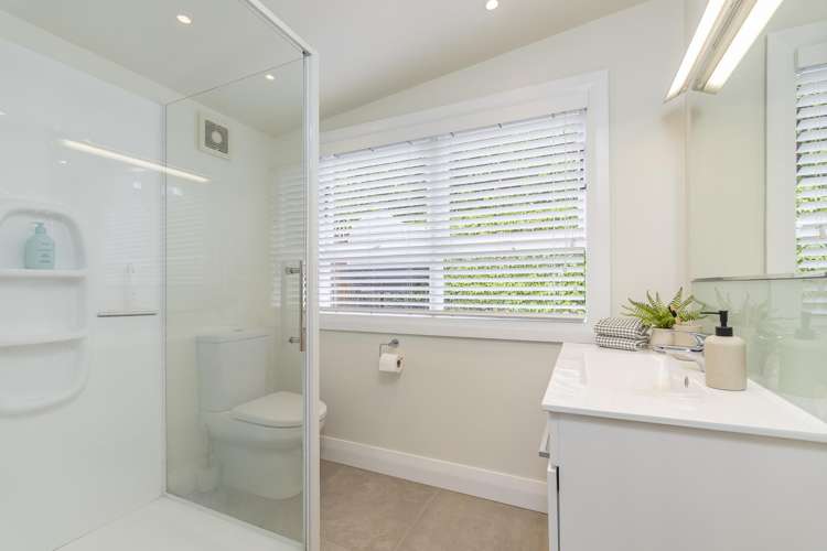 20 Commercial Road Grey Lynn_14